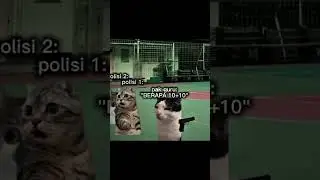 who is the impostor? #kucinglucu #memecringe #memeabsurd #cat #memengakakkocak #kucing #funny #fypシ