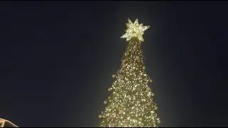 Ghie's Story Channel Disneyland Christmas tree lightning ceremony DL Hk 21-25-2025