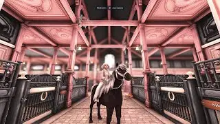 Mon premier live |Star Stable