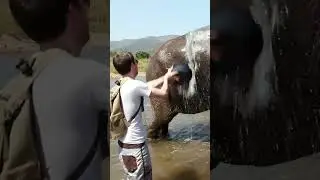 🐘 ❤️ Hanging With Our Elephant Friends | Get Wild