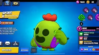 Dzień WIELKICH łbów 🤣😂😆