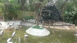 Chhatbir Zoo Video Clip 1