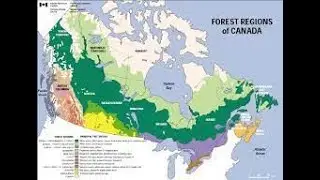 Crash Course on  Canadian Natural Resources by ChatGPT @anhubmetaverse2457