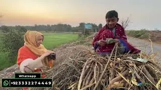 yeh beta gadha gari per lakriyan lai jata howa mila