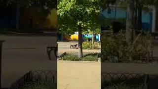 one wheel tris
