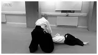 Aikido class session : basic Aikido