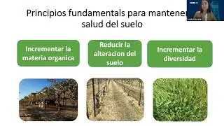 Prácticas de manejo regenerativas y su impacto en la sustentabilidad de los suelos y del sector.