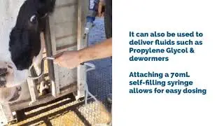 Easy Boss E Demo - Partnar Animal Health