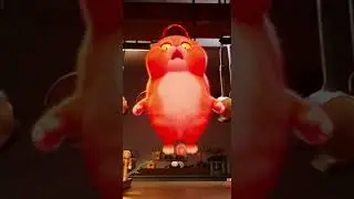 watch the sauce master cat trying the hot sauce. behind the scenes #cat #funny #cute
