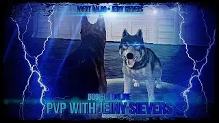 Dog Sim Online: Jeiny Sievers PvP || Agent Galgo