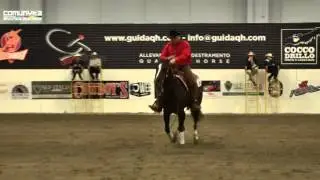 2012 IRHA Derby - FANO PAGANI GIOVANNI-CUSTOMIZED CHIC - Derby Open Go 1