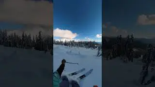 It&rsquo;s alright skiing the glades 🤟 #shorts