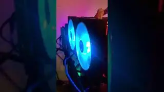 AMD Radeon 6600 XT Mining Rig #miningrig #shorts