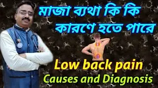 Low back pain causes and diagnosis | low back pain reasons | causes of lumbago