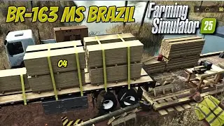 Bridge Delivery and Lime in BR 163 Ms Brasil