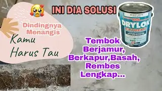 Make Over Dinding Lembab ,Berjamur ,Rembes | DryLok Extreme Waterproofer