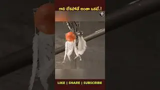Apple vs Feather in Vacuum 😱 | Galileo Was Right! #youtubeshorts #ytshorts #viral