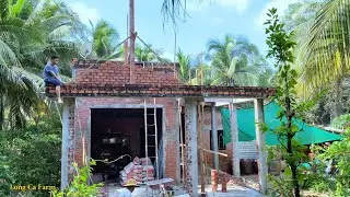 Eggplant Harvest - Continue Building Your Dream Home | Long Ca Farm