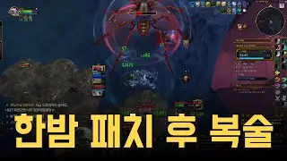 한밤 패치 후 토템술사 복술 쐐기 테스트 | +13 아라카라 (30분 다시보기)