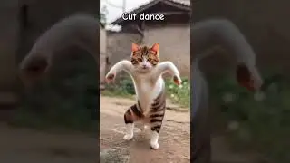 Cat dance video/Short/ #edit #robot #lion #motivation #animation #movie #animals #automobile #anime