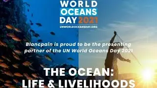 World Oceans Day Whatsapp Status 2022 | Celebrate World Oceans Day | Oceans Day Whatsapp Status
