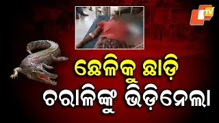 Man Injured While Saving Goat from Crocodile Attack in Angul Village