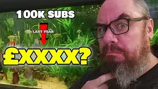 100,000 Subscribers&hellip; Here&rsquo;s What That Paid Me Last Year