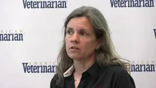 From Zero to TNR Program