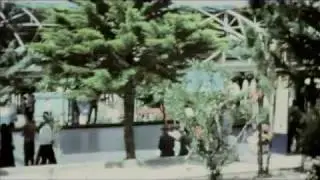 Gallo Matese 1967 Part 3