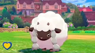 HOW TO GET Wooloo in Pok&eacute;mon Sword and Shield