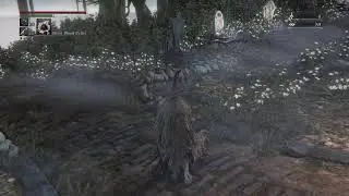 Bloodborne LS17