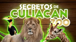 SECRETOS DE CULIAC&Aacute;N: El zool&oacute;gico de la capital
