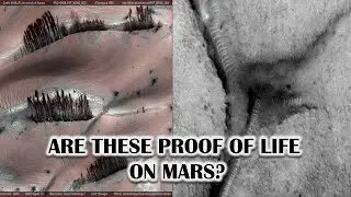 Life on MARS NASA Cover-Up, They are Hiding Something
