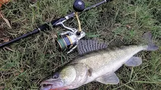 Shimano Sustain AX 810M, тест и обзор.