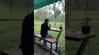 Wah Tea Estate Palampur #wahtea #palampurdiaries #teagarden #youtubeshorts #shortsfeed #viralvideo