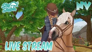 Connemara-Pony Pferdekauf /   Server 11 / Star Stable  ✨