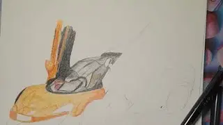 car drawing by pencil color LIVE ✨️ #pratimakaushal #stepbystep