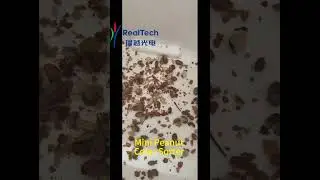 Mini Peanut Color Sorting#machine #factory