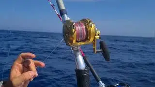 Nodo CHAIN  🐳 Tra i migliori per il Drifting al TONNO