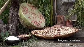 Centro Referencia Salud y Medicina Mapuche 