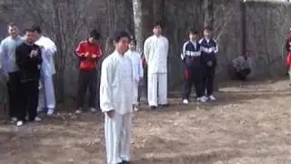 baguazhang Master Li Ziming 2004 commemoration, part 1