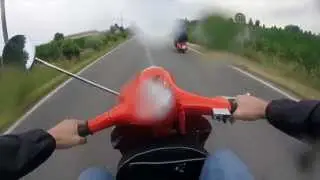 Piubega cut