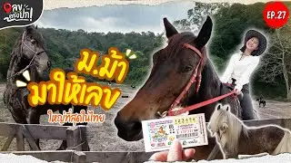 ขอโชคจากม้า ขี่ม้าตามหาเลข | เลขตรงปก EP.27