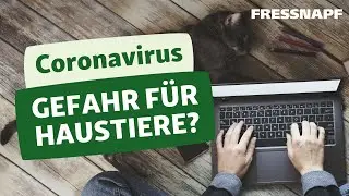 Coronavirus &ndash; eine Gefahr f&uuml;r mein Haustier?
