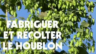 Fabriquer & R&eacute;colter Le Houblon : L'Invention d'un Agriculteur