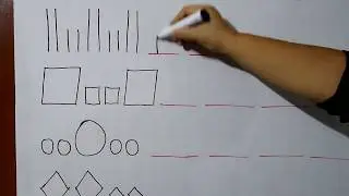Secuencia por Tamaño y Forma- 1er  grado