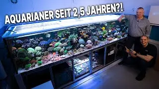 Nach 2,5 Jahren im Hobby EIN SOLCHES BECKEN?! - Rudolfs Geschichte