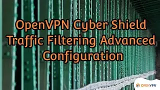 OpenVPN Cyber Shield Traffic Filtering Advanced Configuration