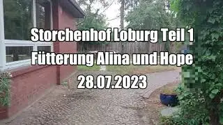 Storchenhof Loburg Teil 1 - 28.07.2023