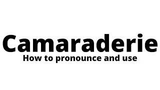 How to Say Camaraderie + The Meaning of Camaraderie